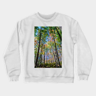 Autumn is Coming in the Forest. Crewneck Sweatshirt